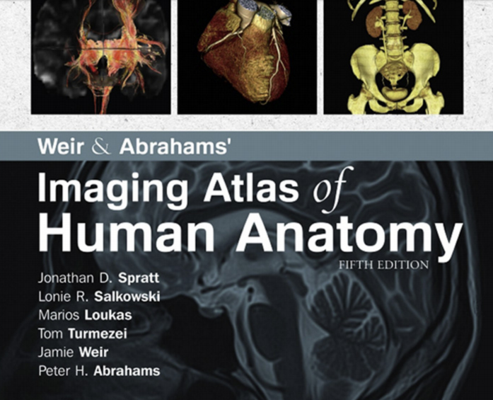 atlas of hematology pdf
